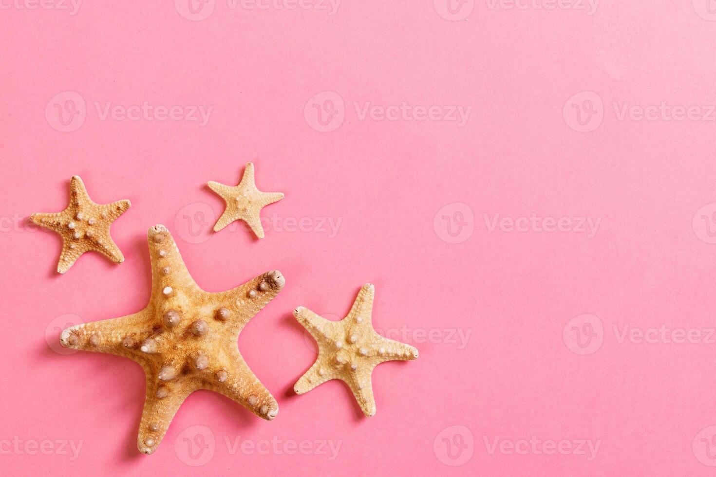lot seashells and many starfish on pink background photo