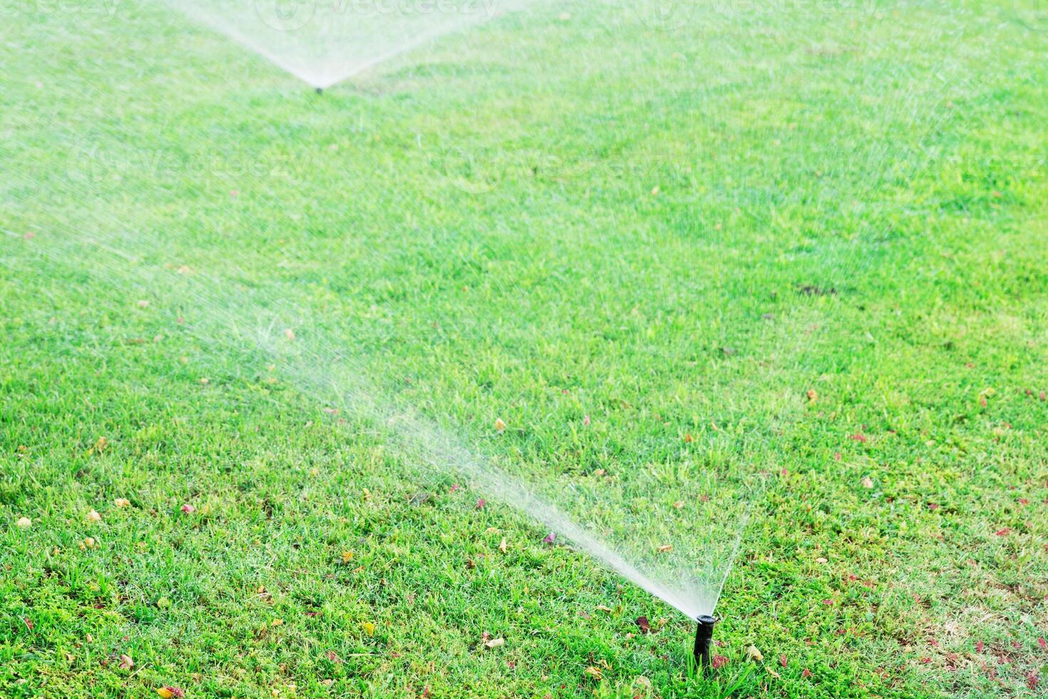Sprinkler garden watering lawn. Automatic watering lawns concept photo