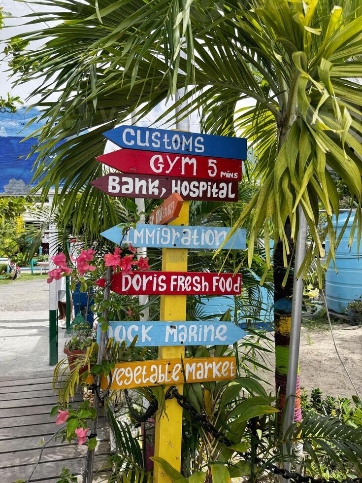 Colorful tropical direction signpost surrounded by palm trees and flowers photo