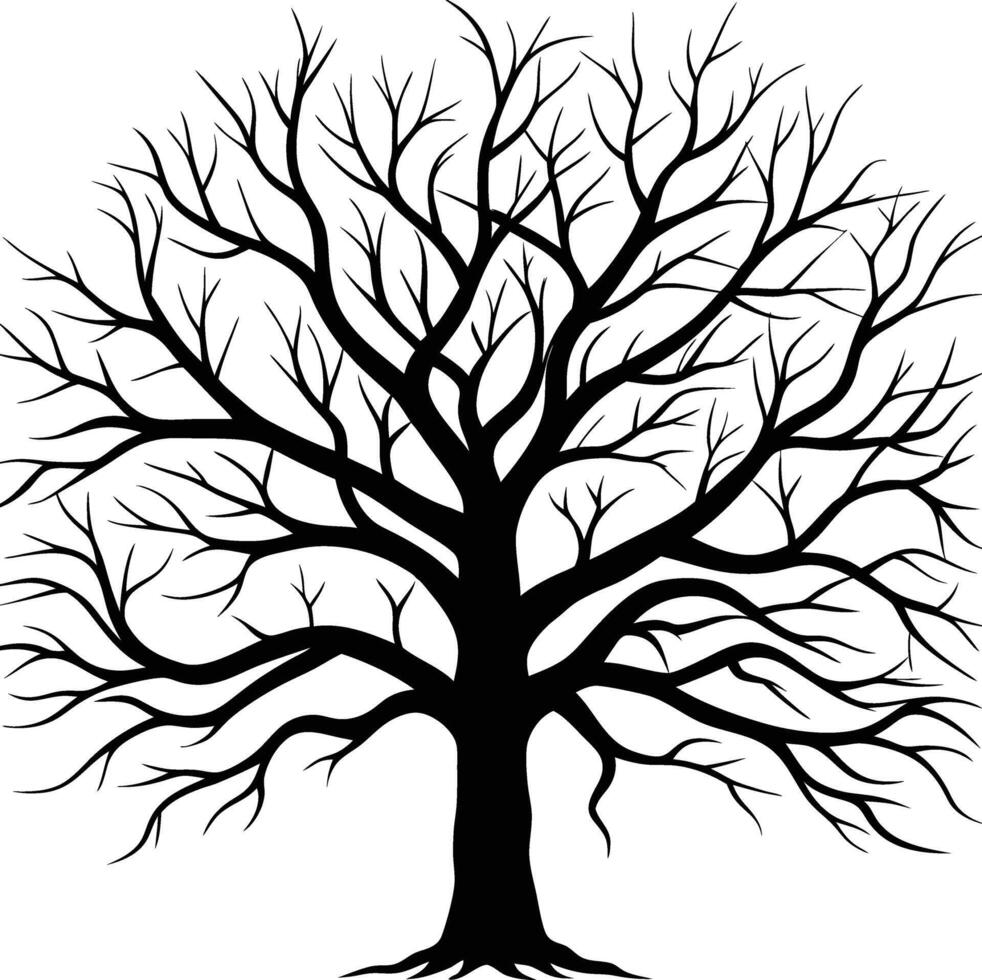 Silhouette of a large leafless tree with twisted and spreading branches black illustration representing nature winter or eerie white background themes on a plain vector