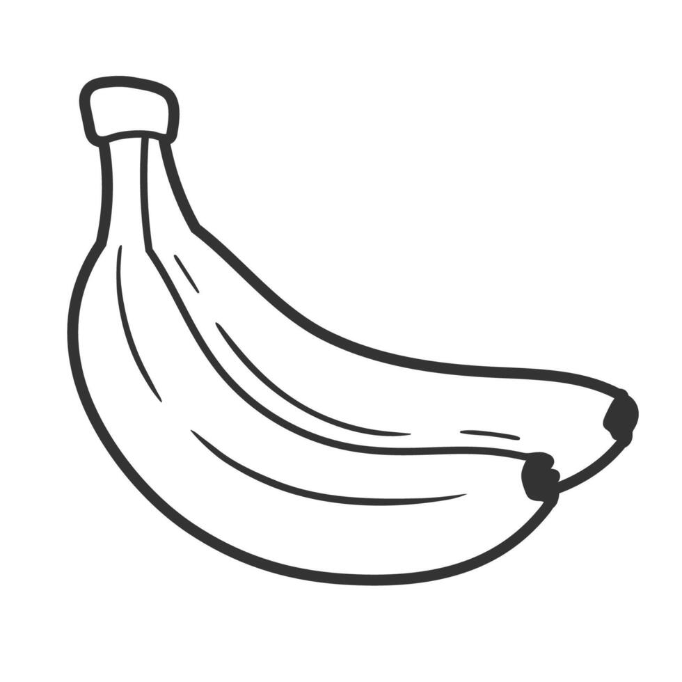 Banana line art of isolated on white background vector