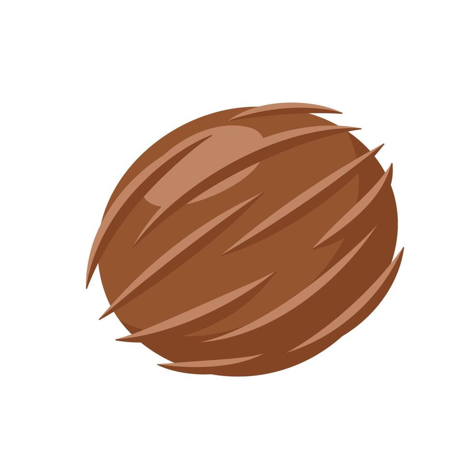 Coconut fresh icon isolated on white background vector