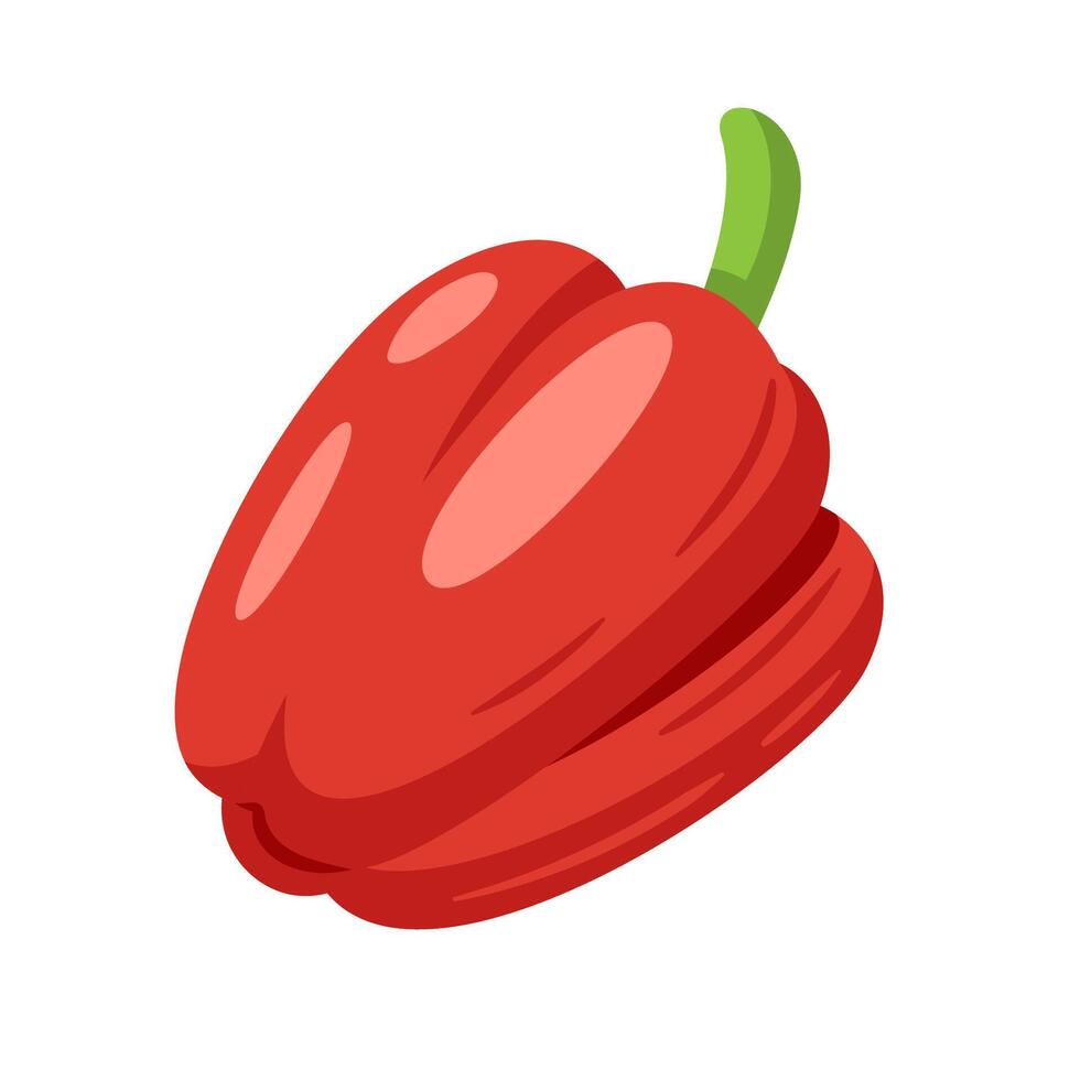 Red bell pepper sweet food vector