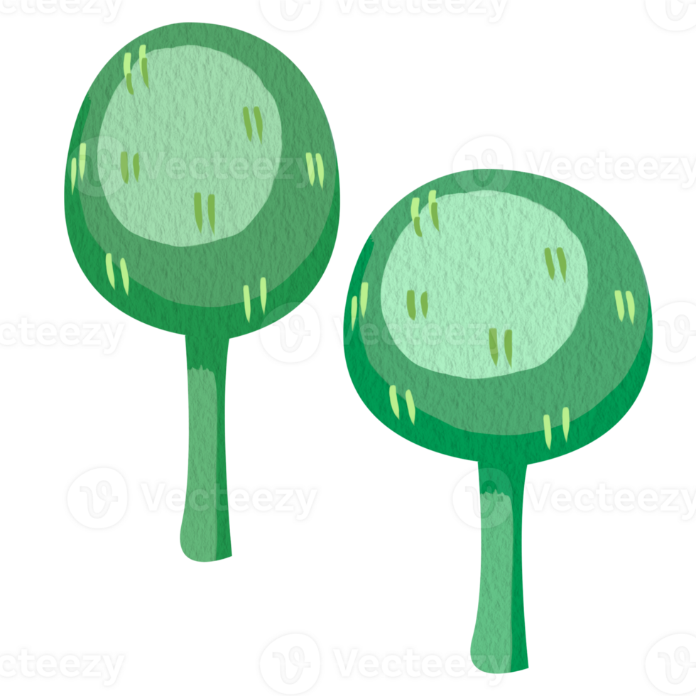 Clip art illustration of two very simple green trees. Minimalist childish illustration without a background for books or games. Rounded shape and short green trunk. Soft paper texture and lighting. png