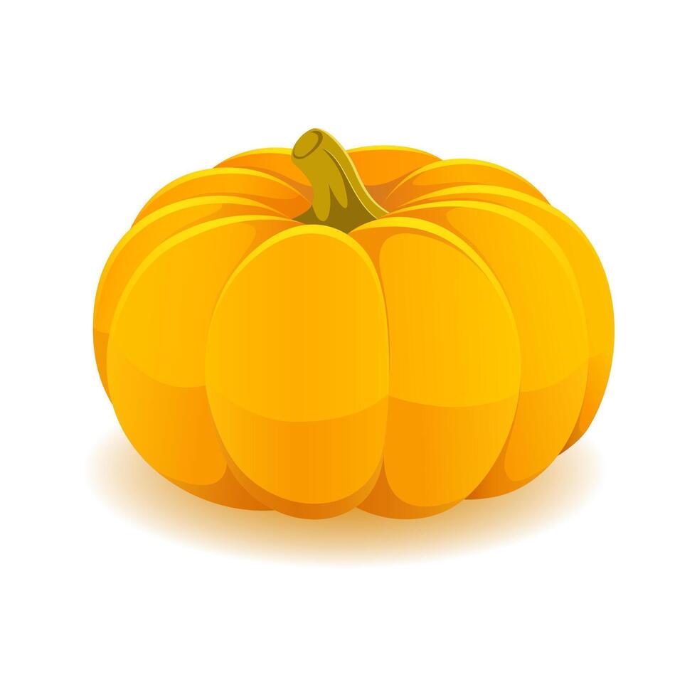 Pumpkin isolated on white background vector
