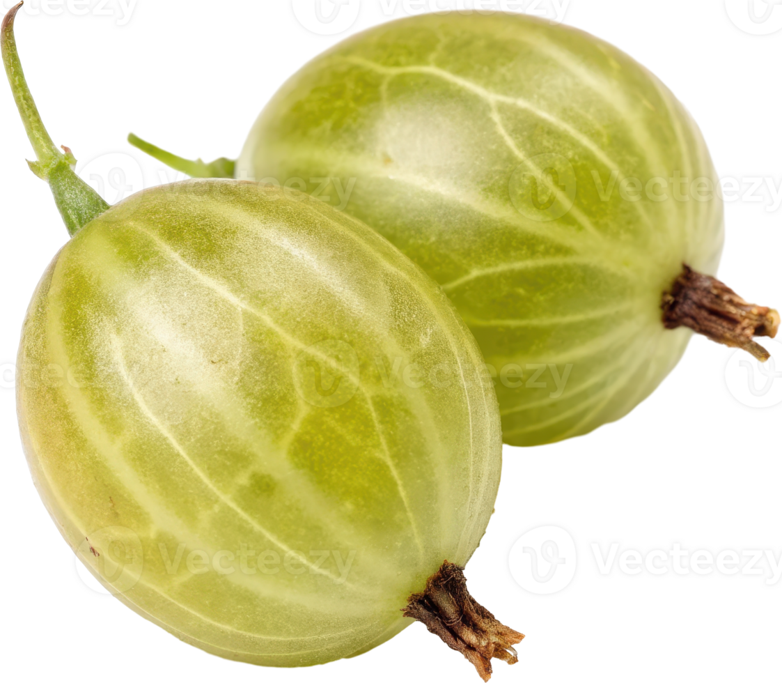 Two plump green gooseberries a tart and juicy fruit commonly used in jams pies and other culinary applications png