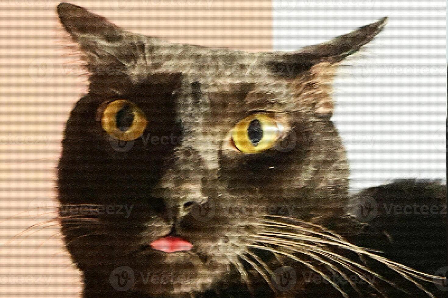 Cute Black Cat with the Tongue Out. A face of a funny-looking black cat with its cute tongue photo