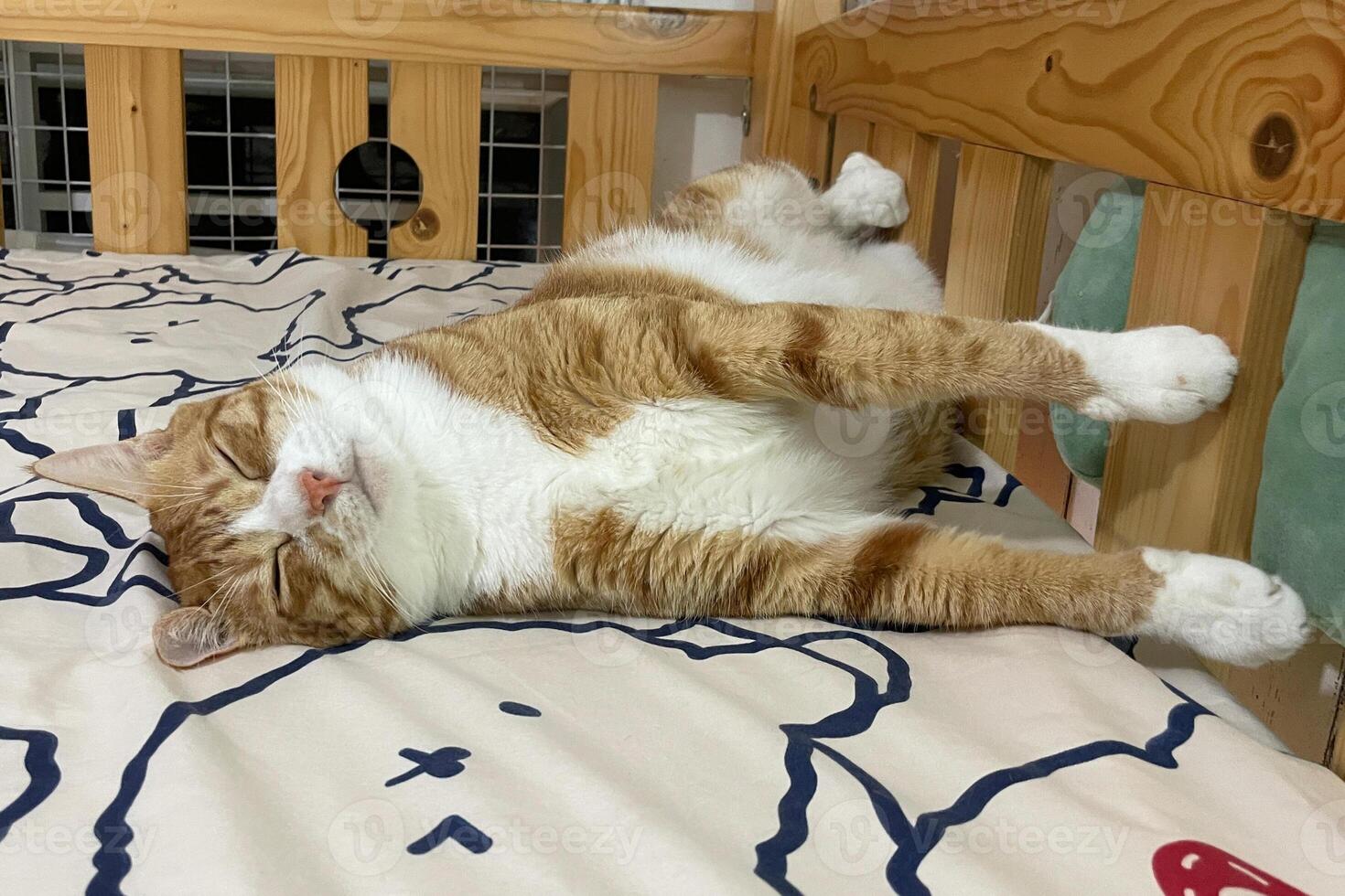 A beautiful red-haired cat sleeps impressively on the bed. A beautiful ginger white cat lies on the bed at home and rest. Funny cat portrait photo