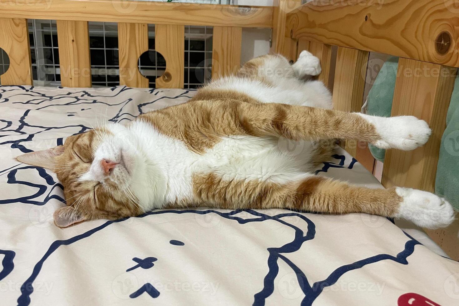 A beautiful red-haired cat sleeps impressively on the bed. A beautiful ginger white cat lies on the bed at home and rests. Funny cat portrait photo