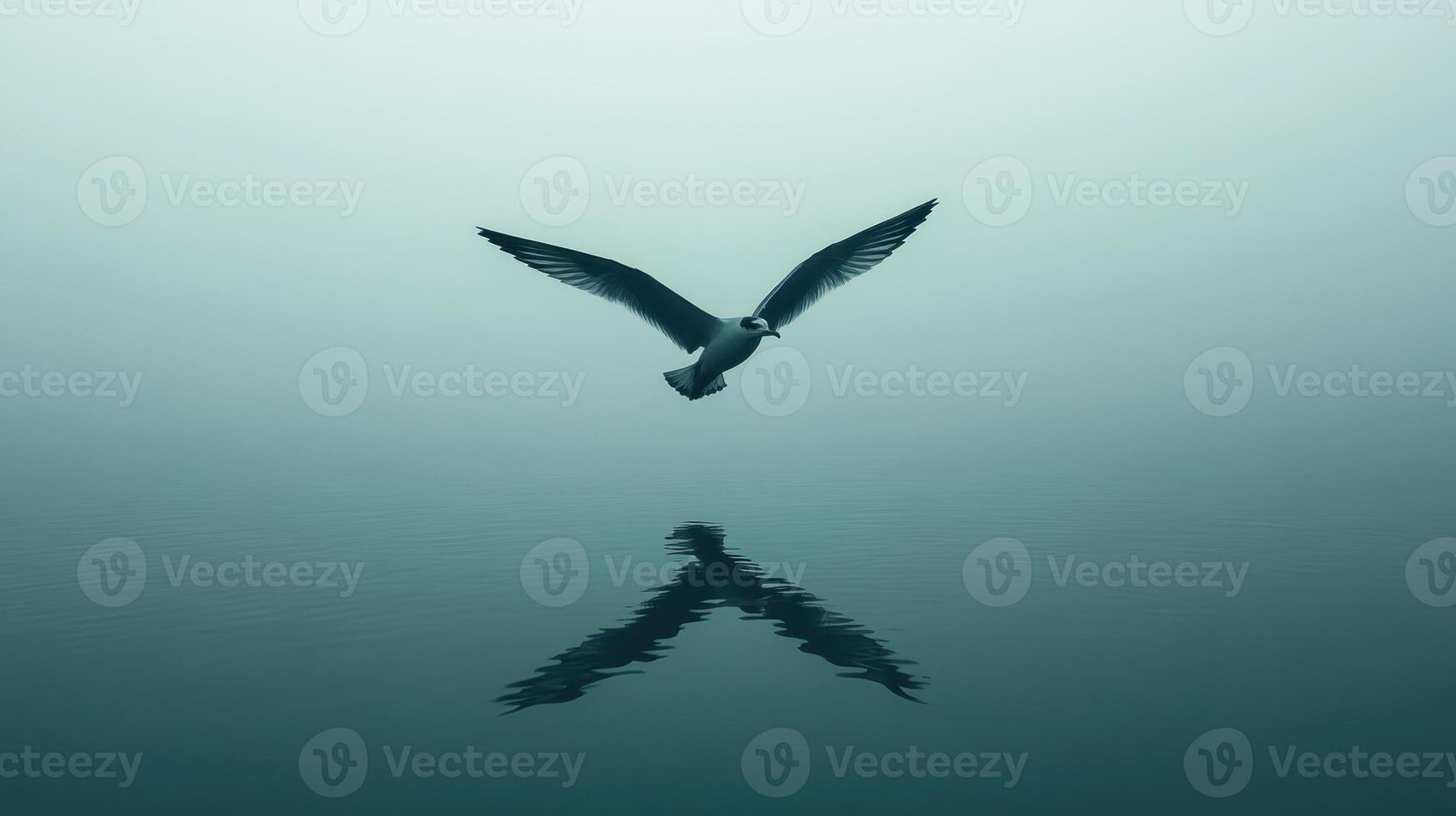 A seagull flying over the water with its wings spread photo