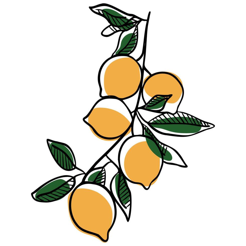 Hand drawn ink lemon fruit illustrations. Perfect for packaging design,poster design, postcards, food branding or botanical projects. vector