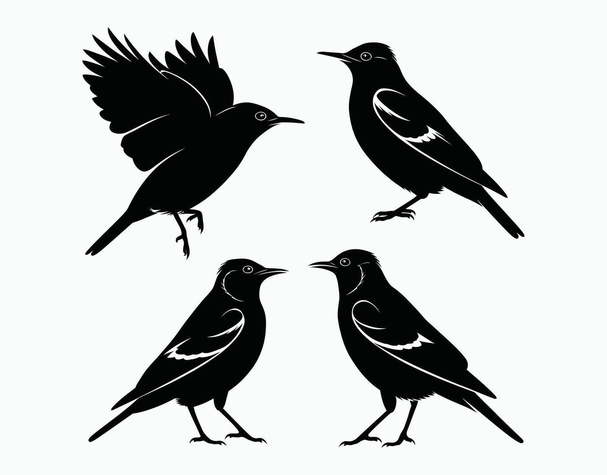 Silhouette Isolated Template Set of Common Starling Bird vector