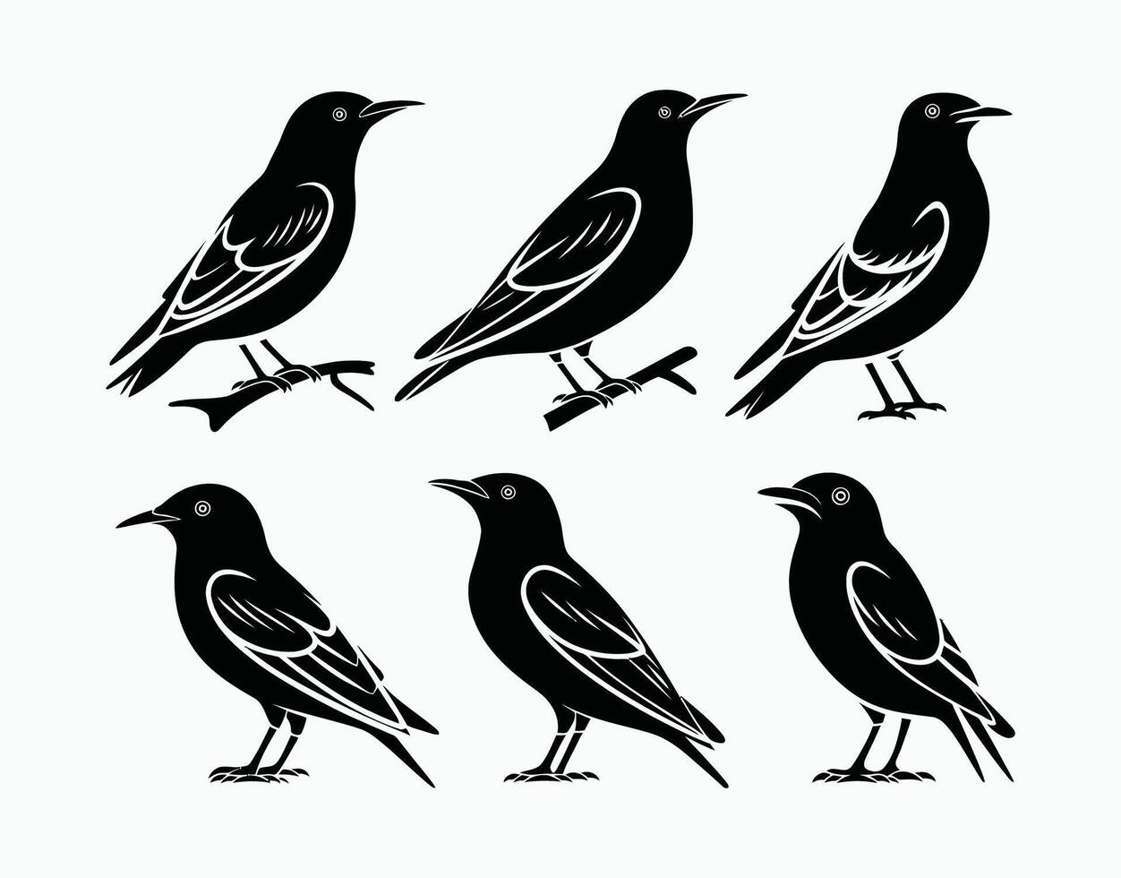 Silhouette EPS Template Featuring Common Starling vector