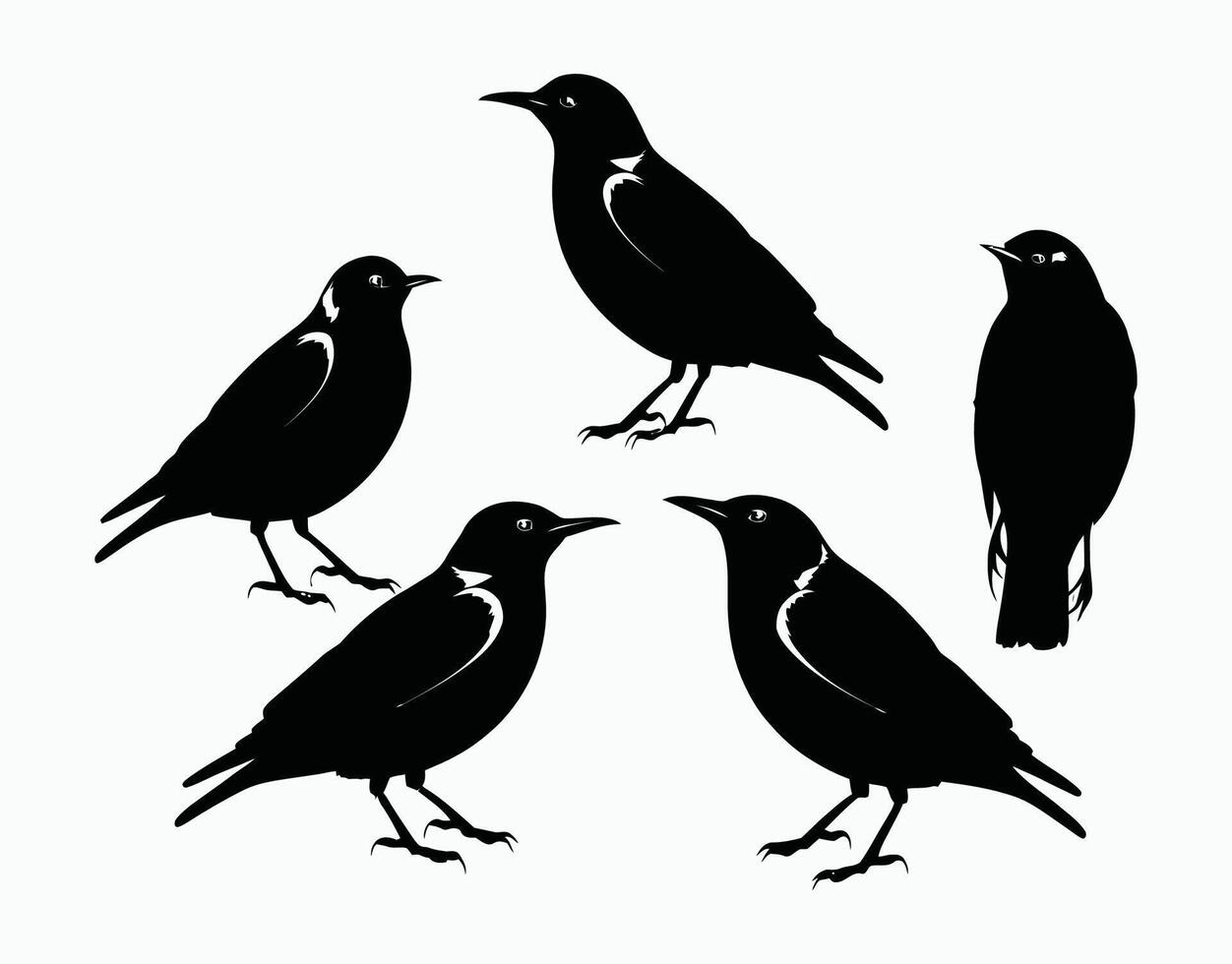 Common Starling Silhouette Set Illustration EPS Template vector