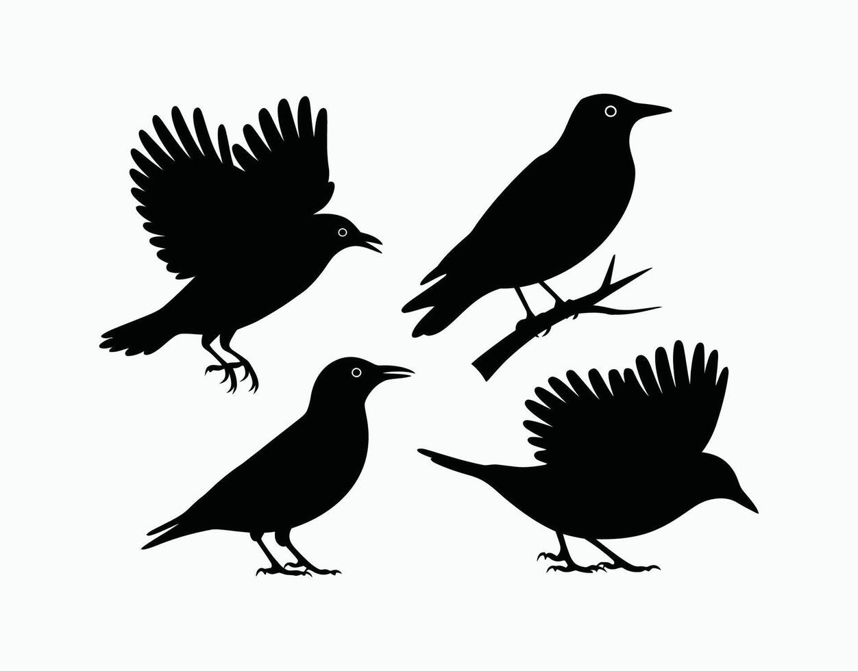 Common Starling Silhouette Collection Template vector