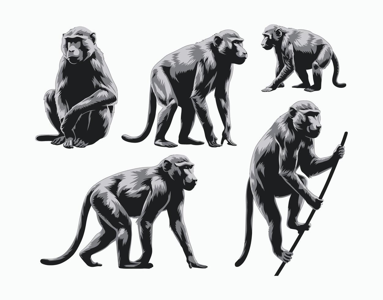 Versatile Baboon Silhouette Isolated Template Collection vector