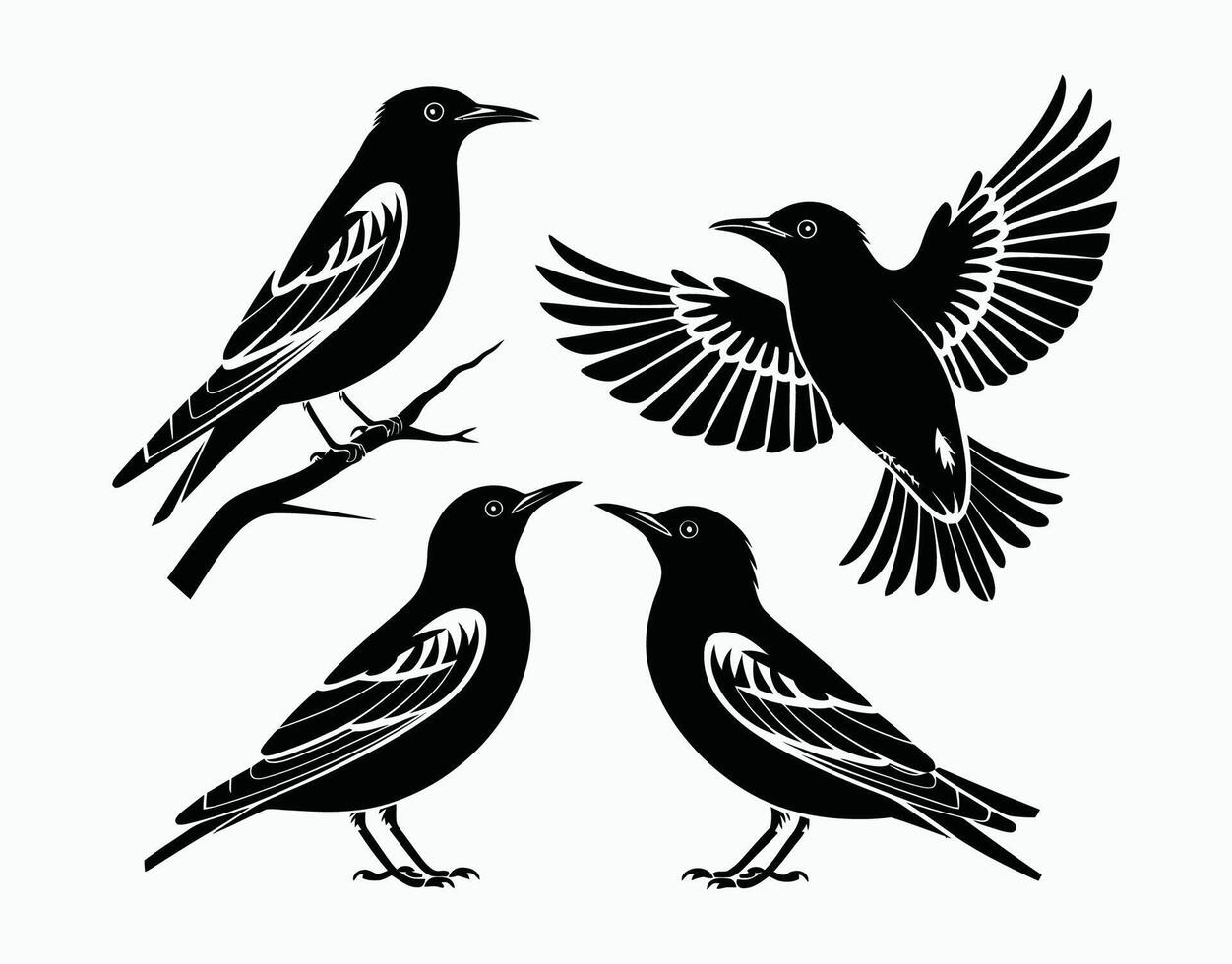 EPS Template of Common Starling Silhouette on White Background vector