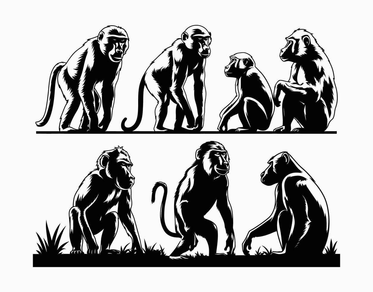 Isolated Baboon Silhouette on a White Background vector