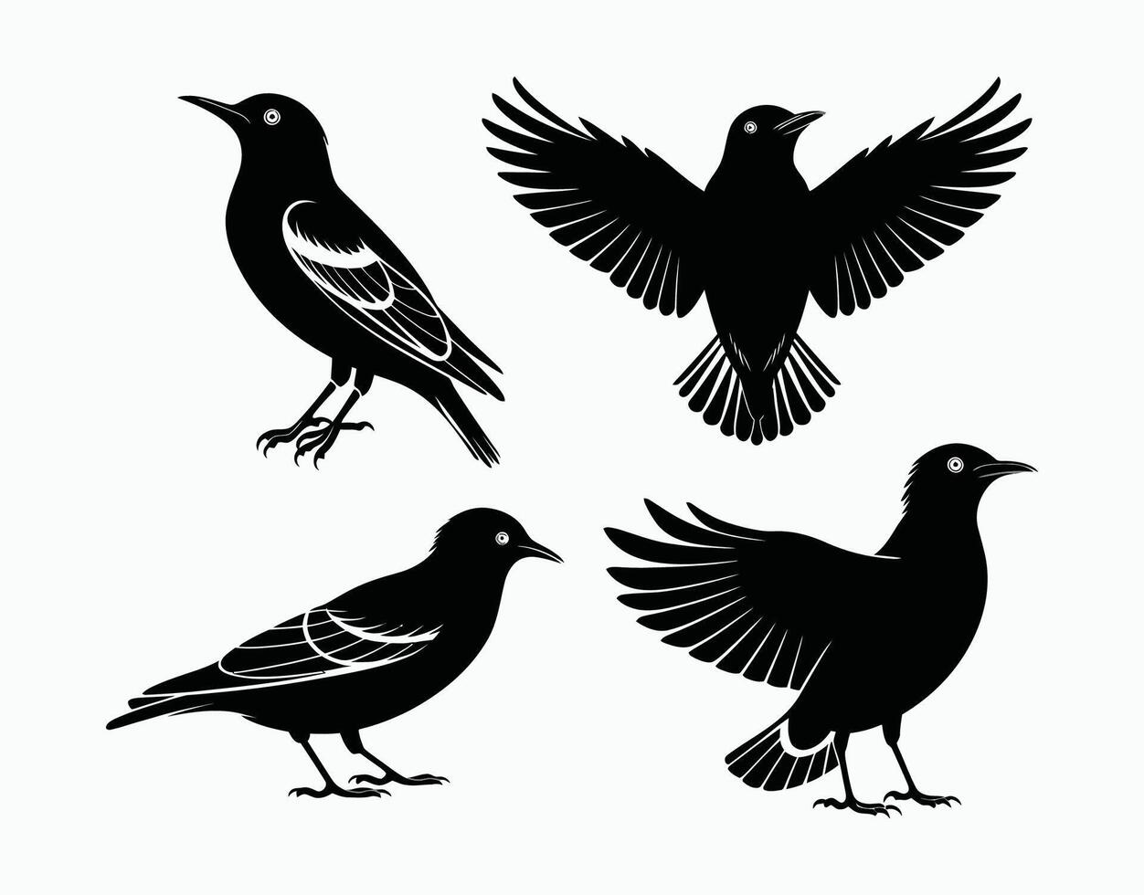 European Starling Silhouette Design on White Background vector