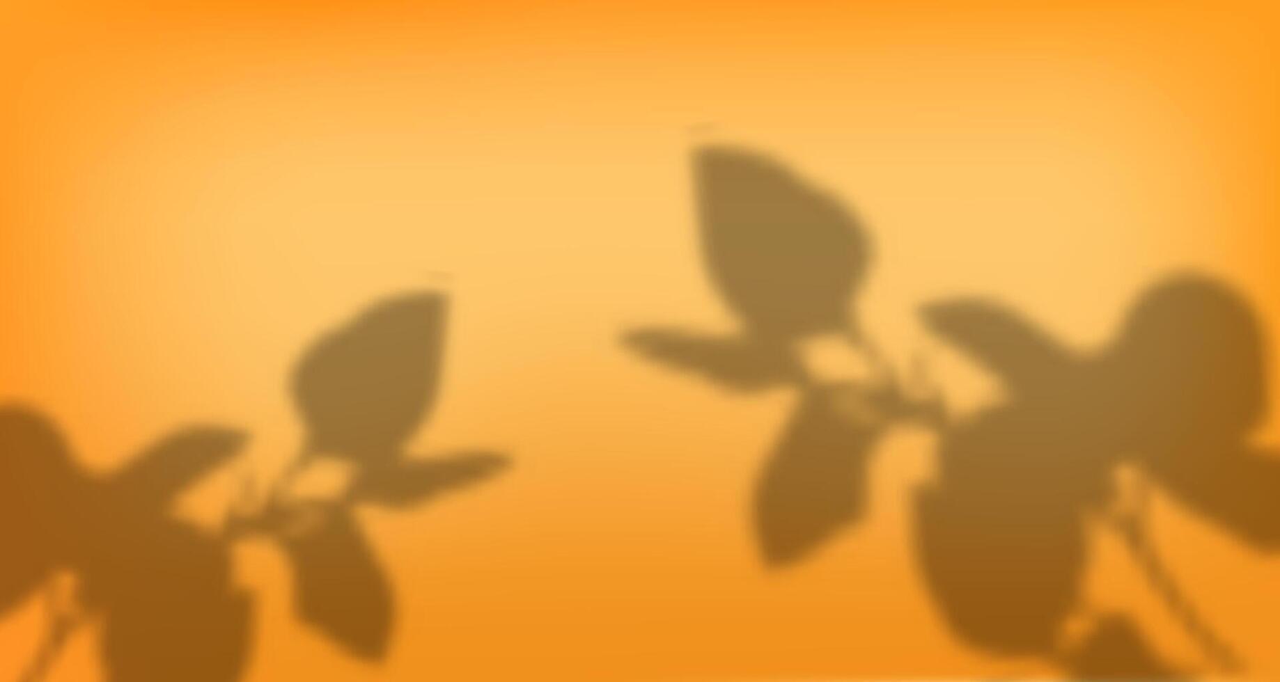 A shadow of leaves on an orange background vector