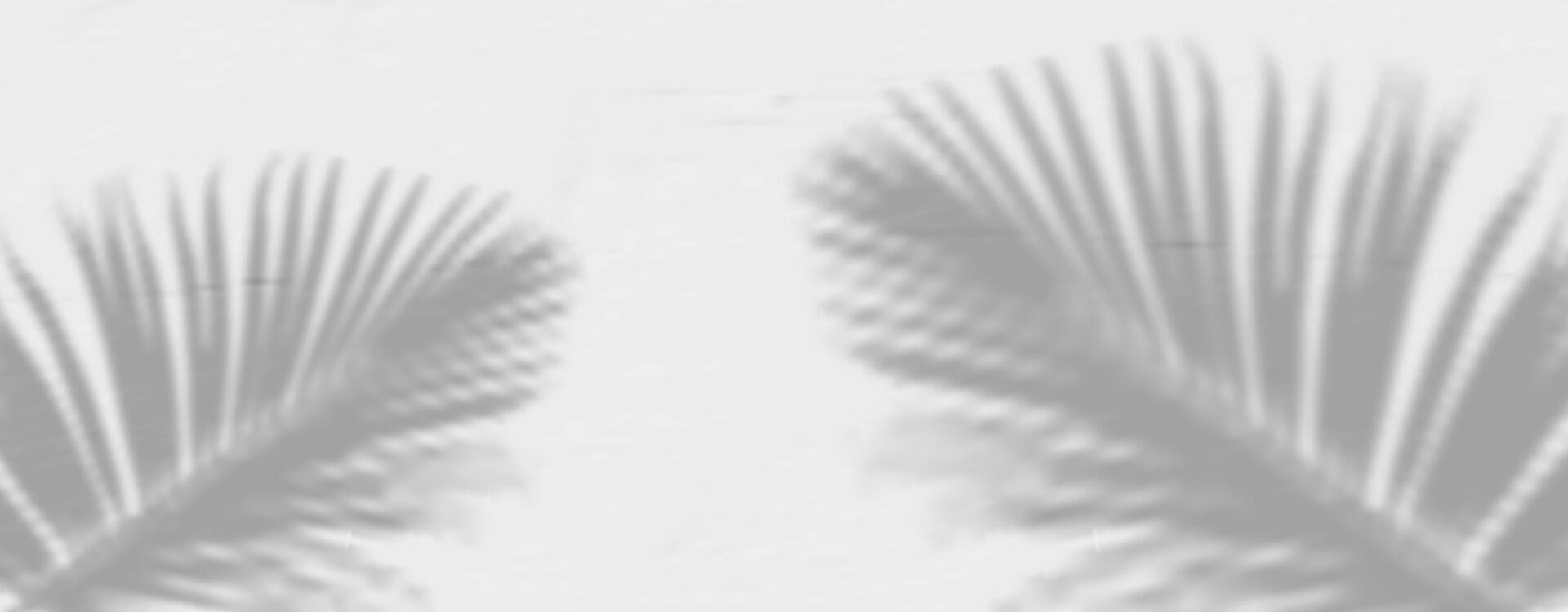 Palm leaves in black and white vector