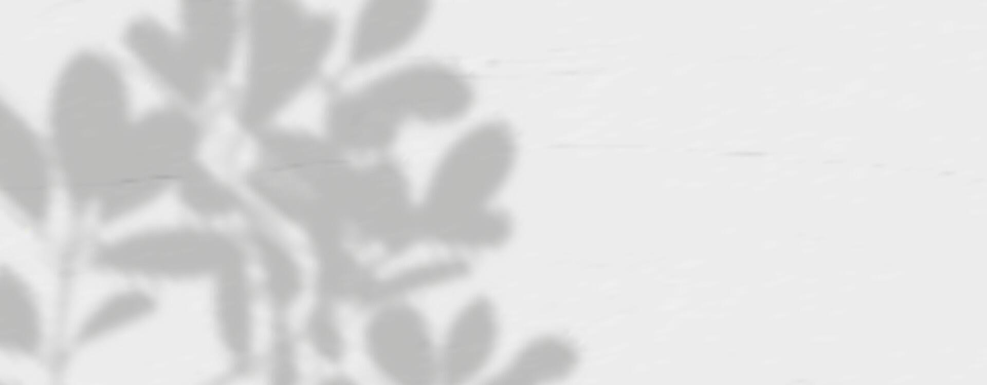 A shadow of leaves on a wall vector