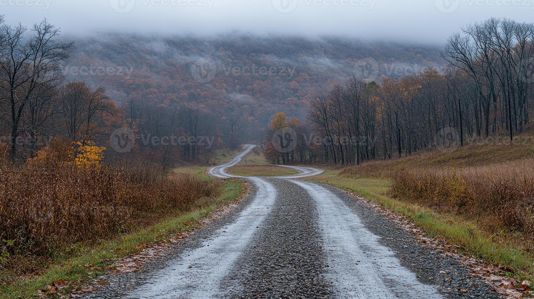 A road with a foggy sky and trees photo