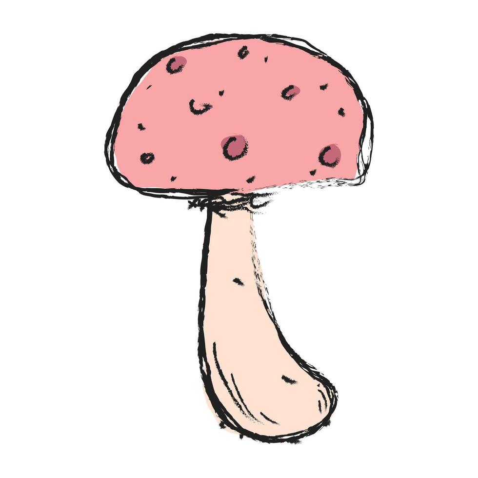 Mushroom hand drawn illustration. Floral element design. Hand drawn botanical illustration. vector