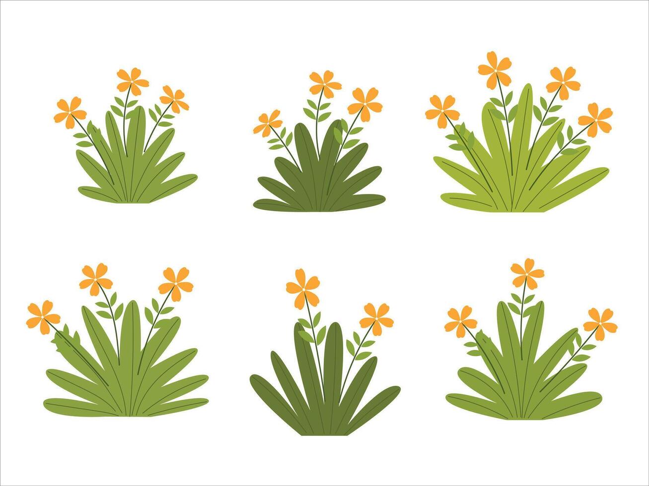 Set of grass bush blossom, shrubs during flowering seasons vector