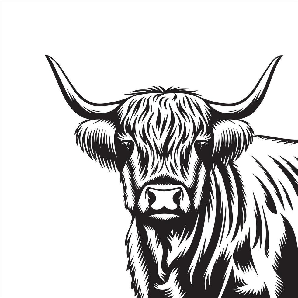Fluffy Highland Cow Silhouette Drawing vector
