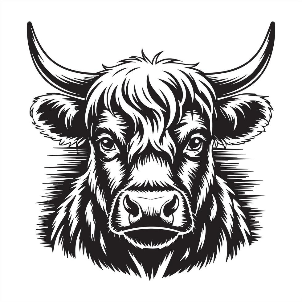 Highland Cow with Worried Look Illustration vector