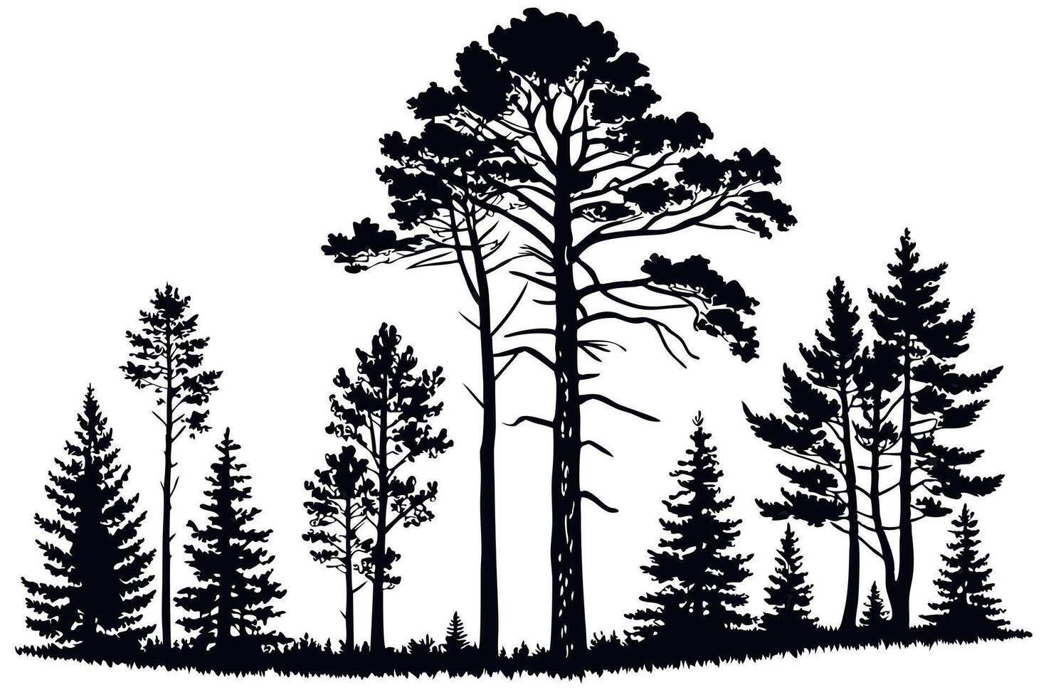 Black and white illustration of coniferous trees, showcasing a serene and simplistic outdoor landscape vector