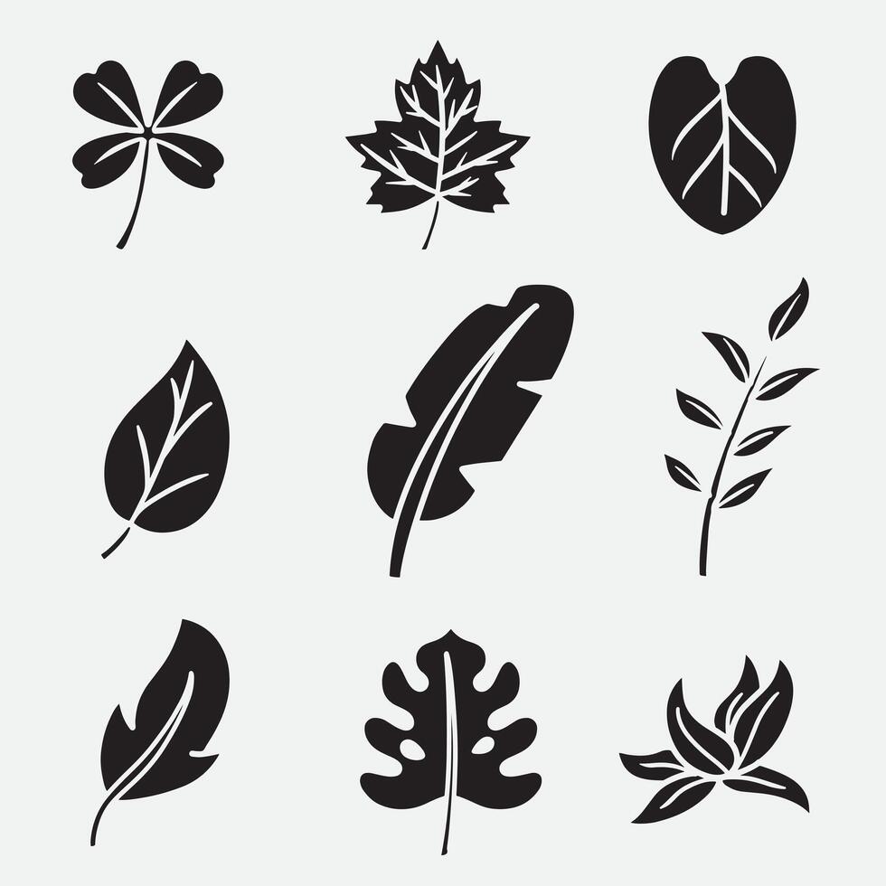 set of leaf good for icon, logo, symbol, element design, silhouette design, etc vector