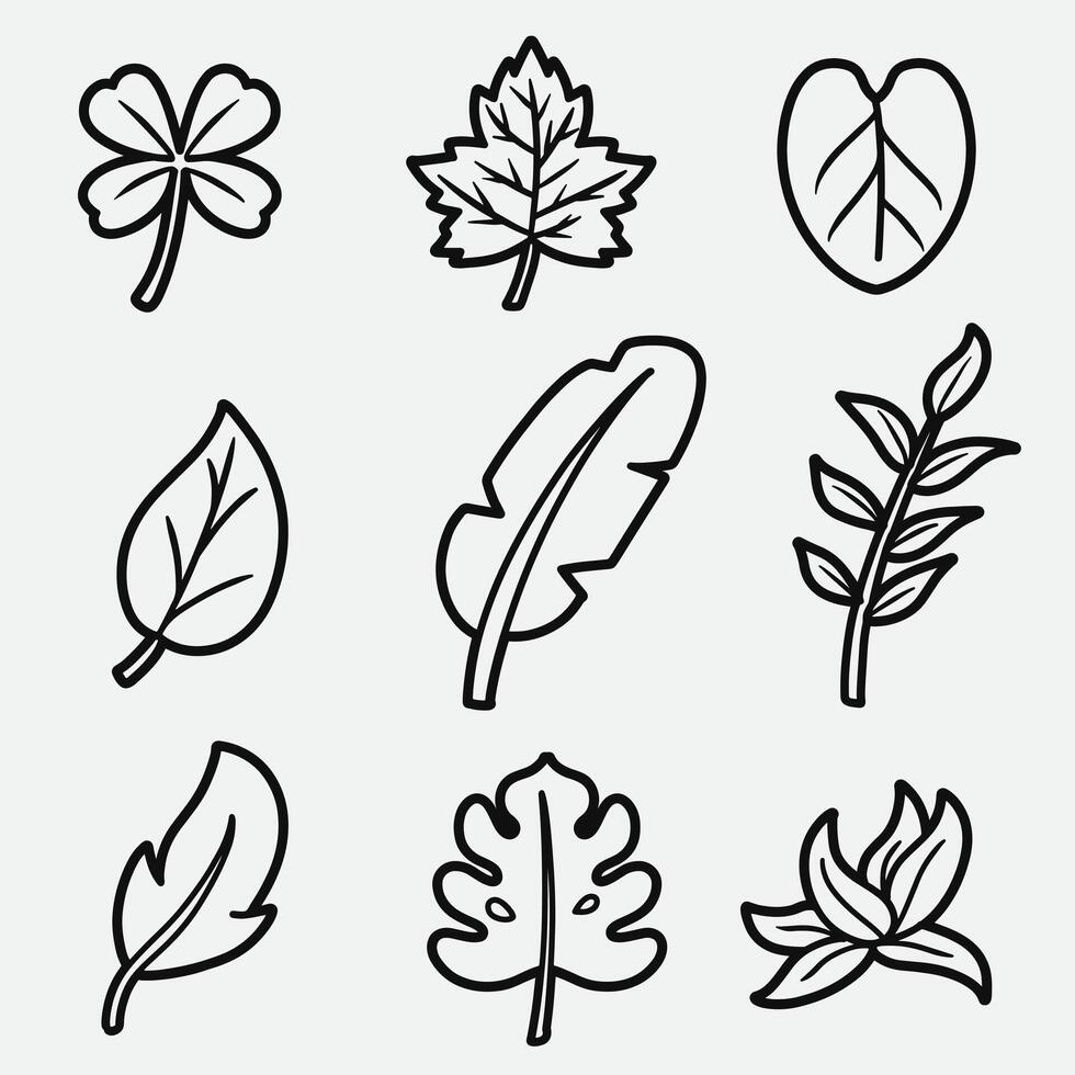 set of leaf with outline style good for symbol, icon, element design, coloring book, coloring page, etc vector