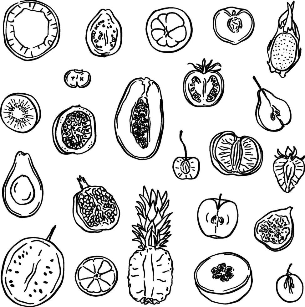doodle style illustration of fruits vector