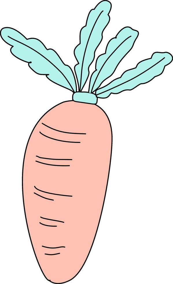 carrot hand drawn vector