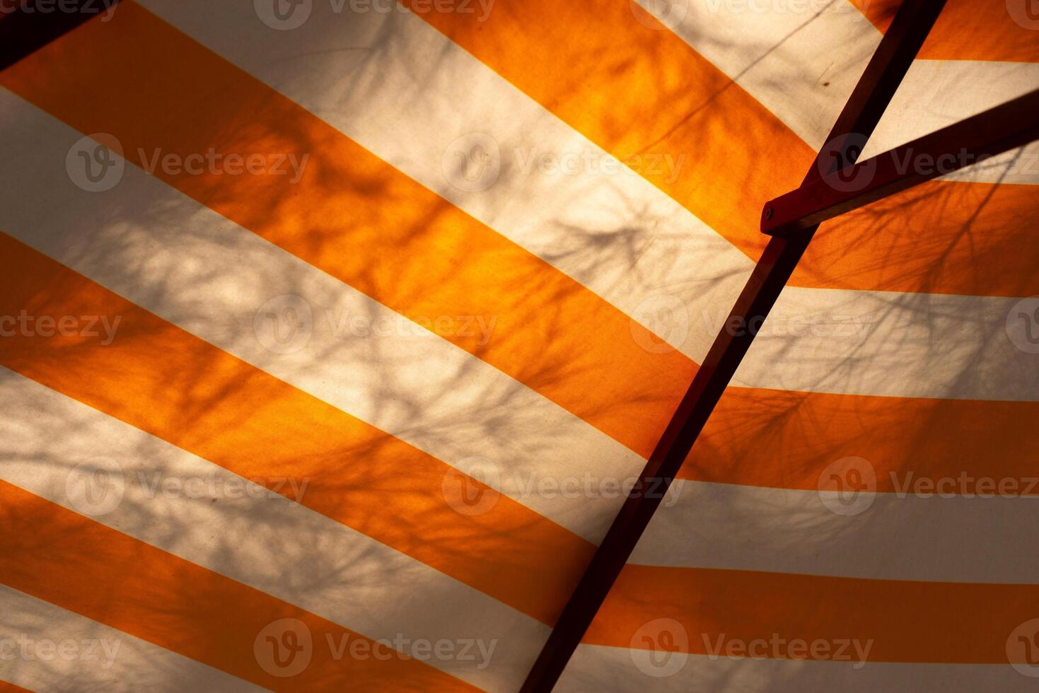 Umbrella with shadow branches under the tree. Umbrella yellow and white color with shadow branches under the tree. photo