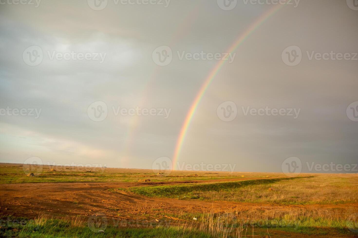 Evening sunset rainbow over the field. photo