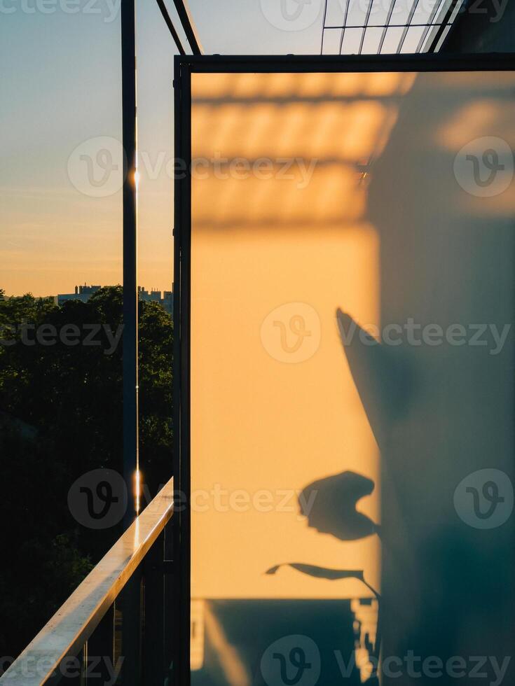 Golden light filtering through frosted glass, casting delicate plant shadows on sleek balcony partition during soft sunset hours, revealing minimalist architectural tranquility. Serene atmosphere photo