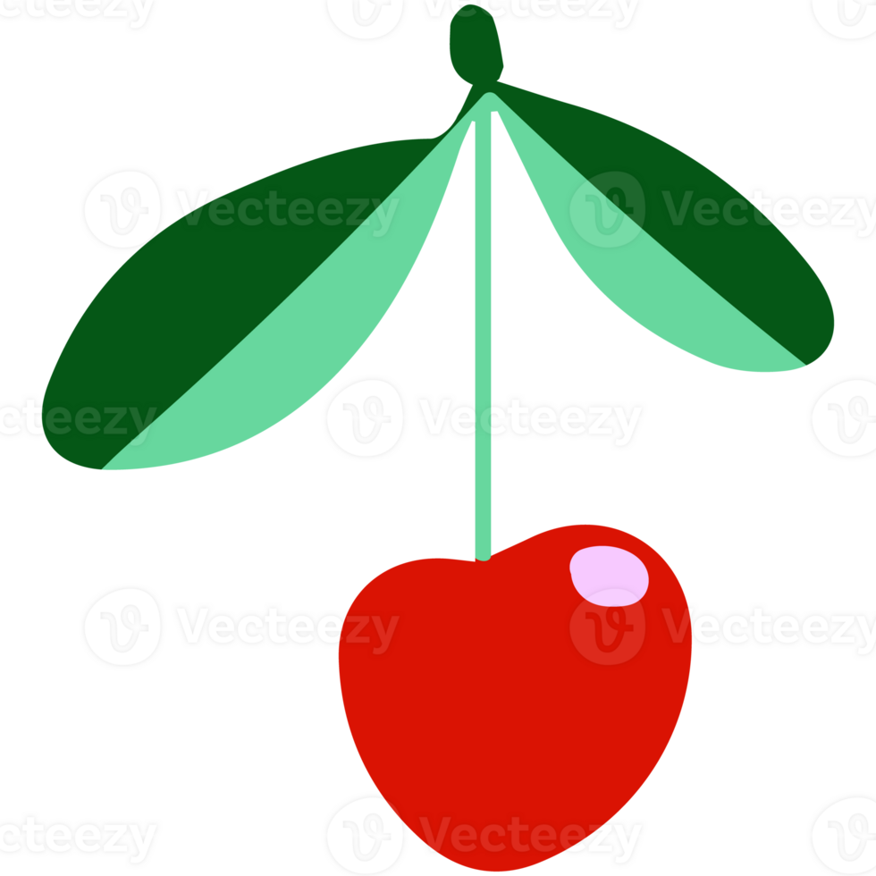 A cherry on a branch with leaves png
