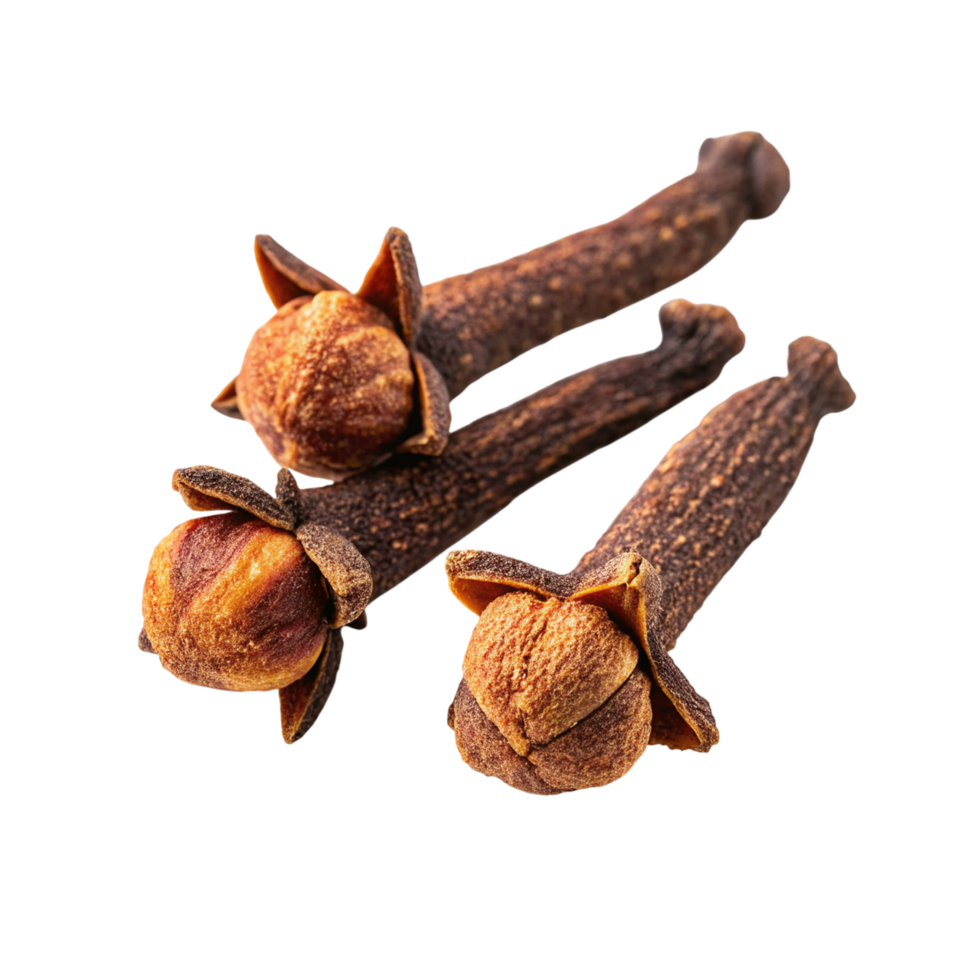 Spice cloves isolated on transparent background png