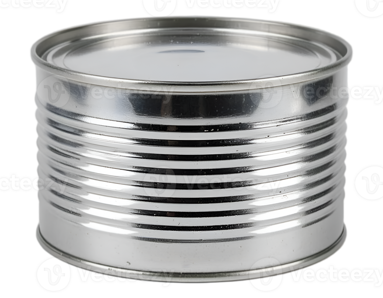 Empty Silver Tin Can - Isolated Metal Food Can with Transparent Alpha png