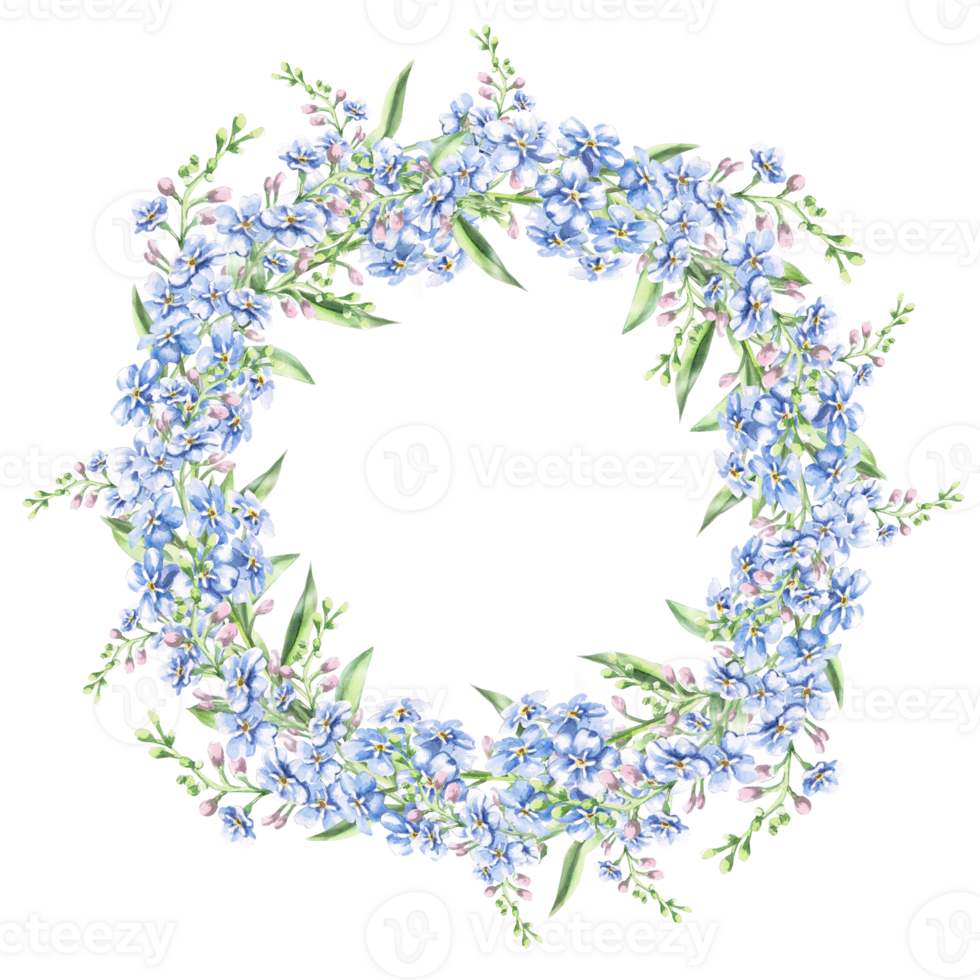 Round frame with forget-me-not flowers. Isolated watercolor illustration of garden flowers for design of cosmetic products, printing on posters, clothes. png