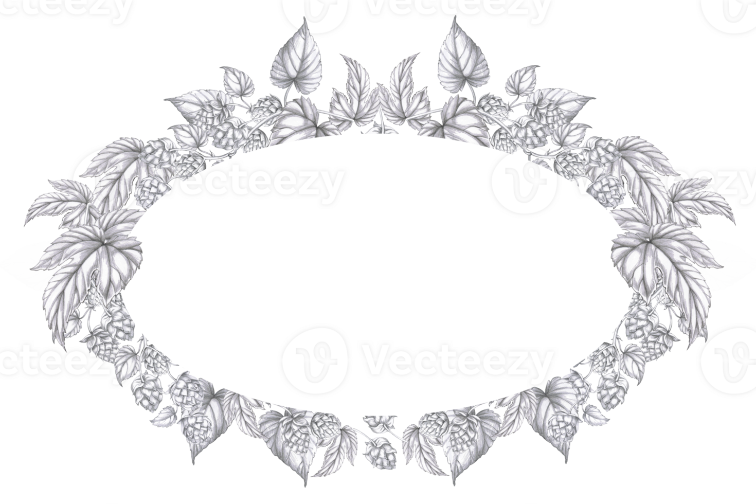 Oval wreath with branches and cones of hops. Isolated pencil illustration on the theme of beer in a realistic style for the design of beer products, interior and menu of bars and restaurants png