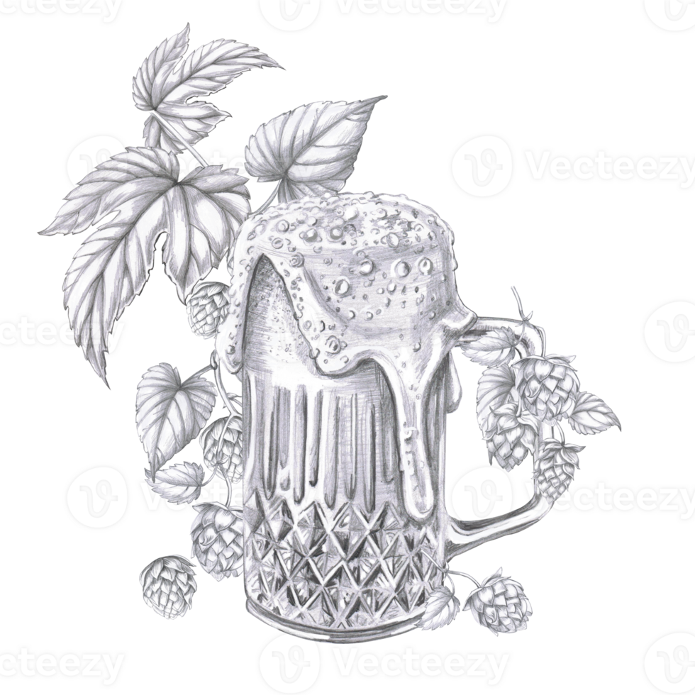 A mug of foamy beer on the background of a branch of hops. Isolated pencil illustration for the design of pubs, menus, cookbooks, signs. png