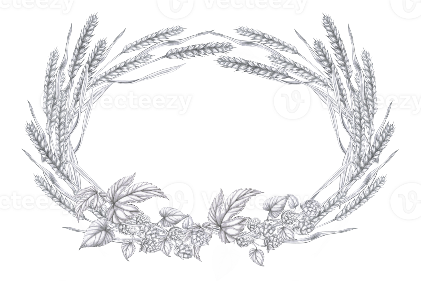 Oval wreath with rye ears and hop branches. Isolated pencil illustration on the harvest theme in a realistic style for the design of beer products, interiors and menus of bars and restaurants. png