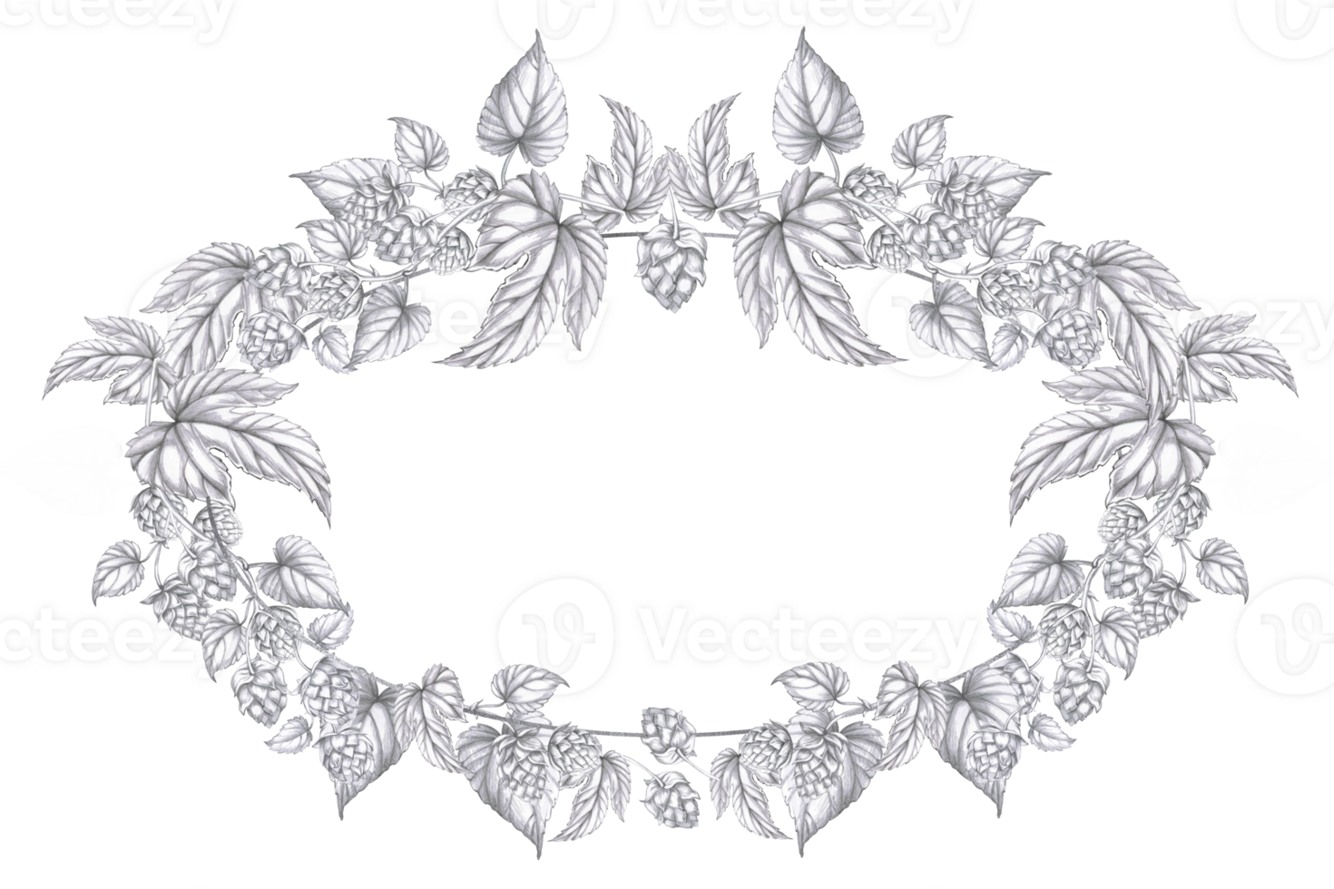 Oval wreath with hop branches. Isolated pencil illustration on the theme of beer in a realistic style for the design of beer products, interior and menu of bars and restaurants png