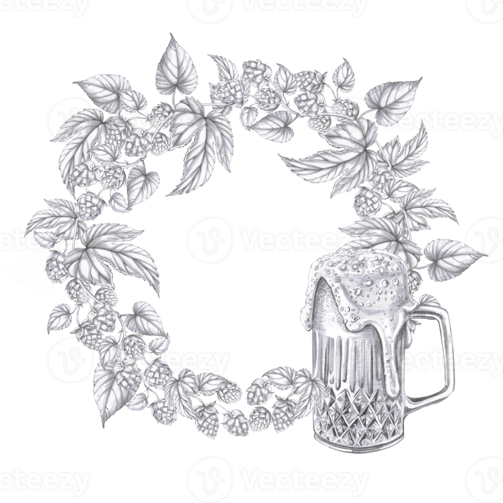 Wreath of hop branches and a mug of foamy beer. Isolated pencil illustration in a realistic style for the design of pubs, labels, menus, cookbooks, signs. png