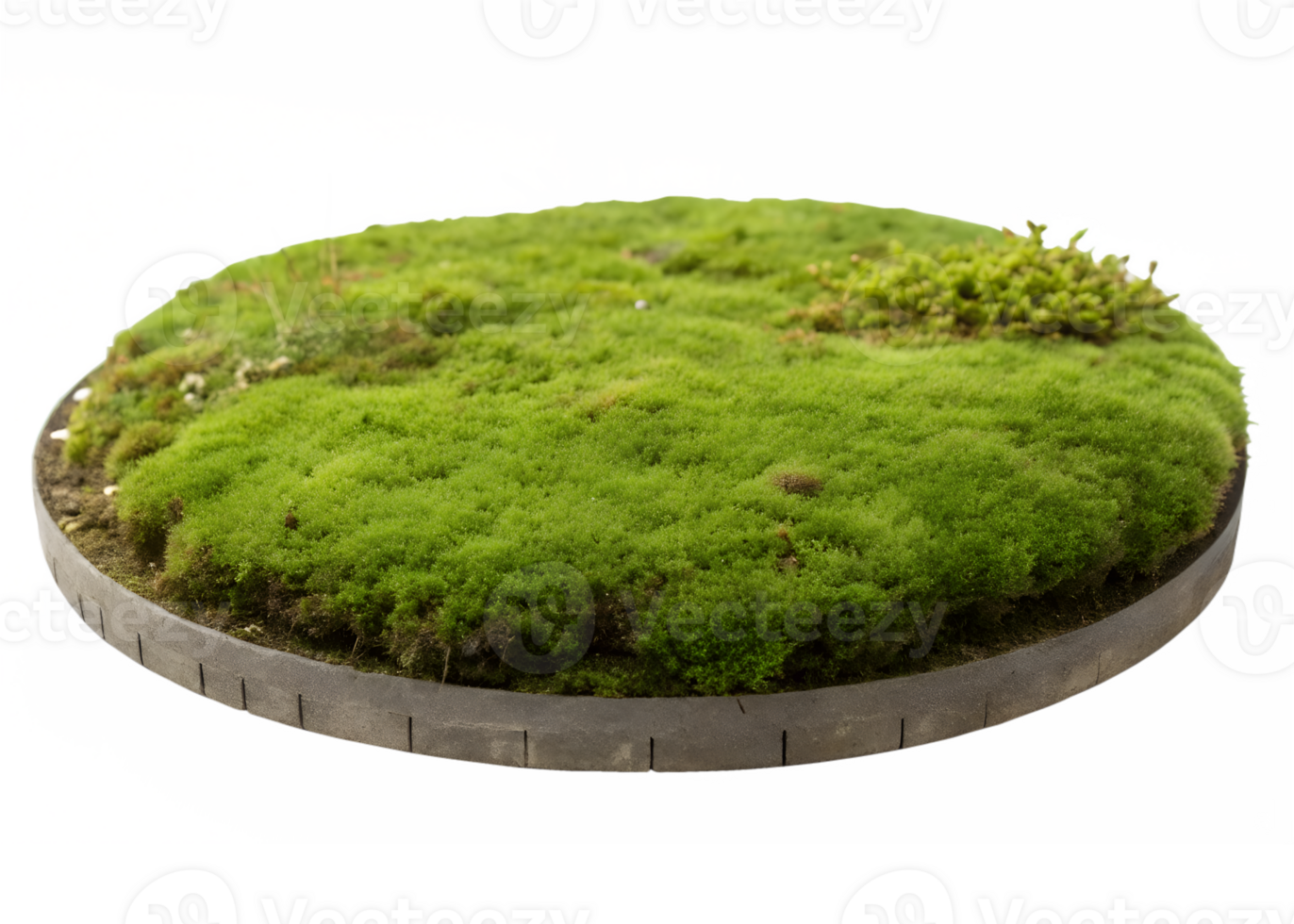 Lush Green Moss Platform with Natural Growth - A round platform entirely covered in soft, vibrant green moss, isolated on a transparent background png