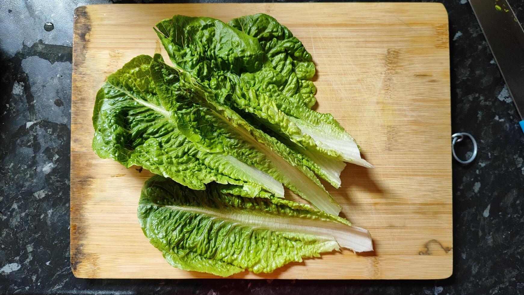 lettuce on a cutting board photo